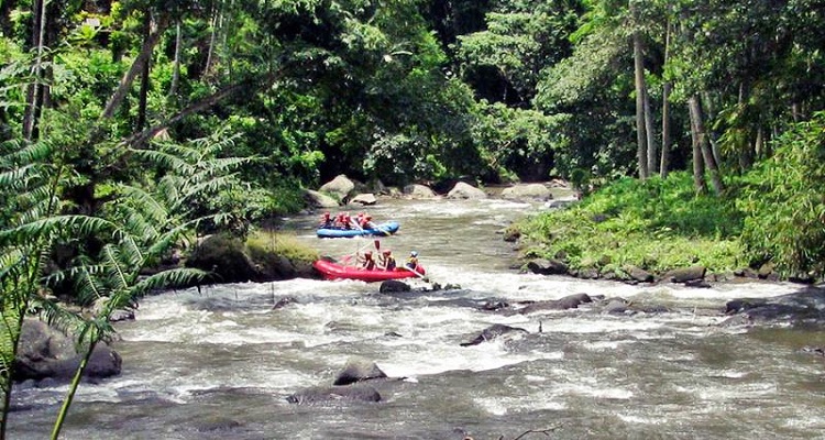 Explore Bali in 6 Days