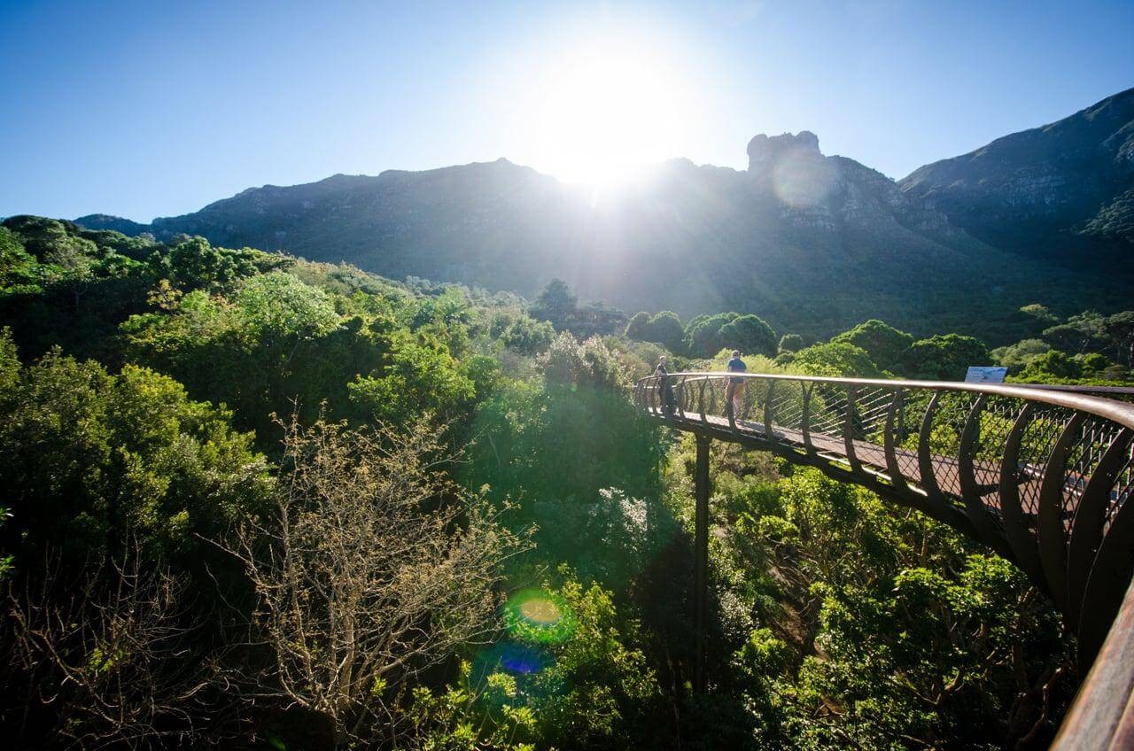 Cape Town City Breaks in 5 Days