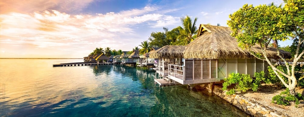 Explore Sri Lanka in 5 Days