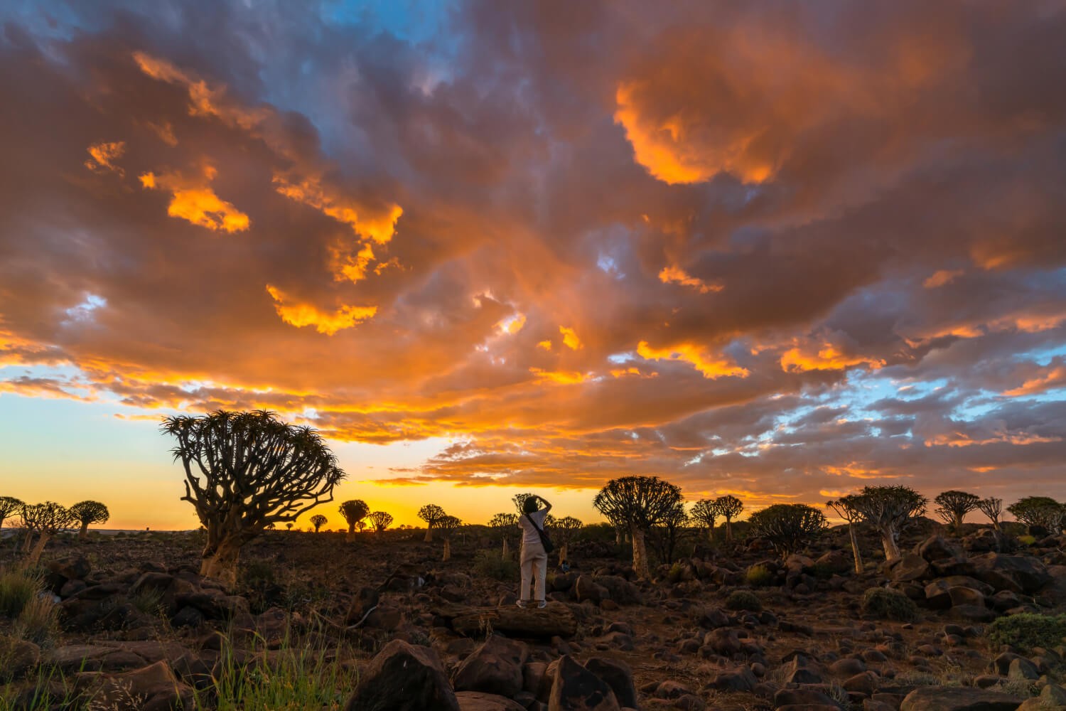 Explore Kenya in 7 Days